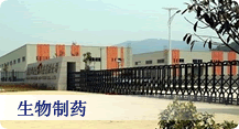 软件开发